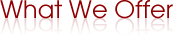 What We Offer